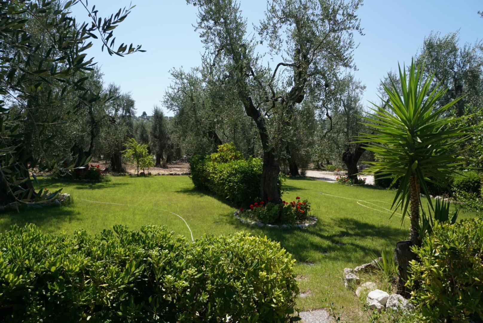 Residence Valleverde В'єсте Екстер'єр фото