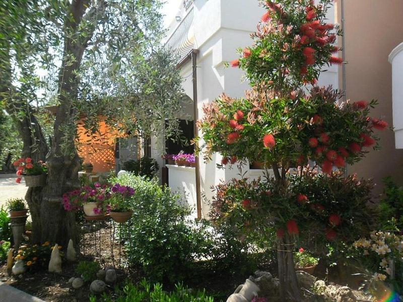 Residence Valleverde В'єсте Екстер'єр фото